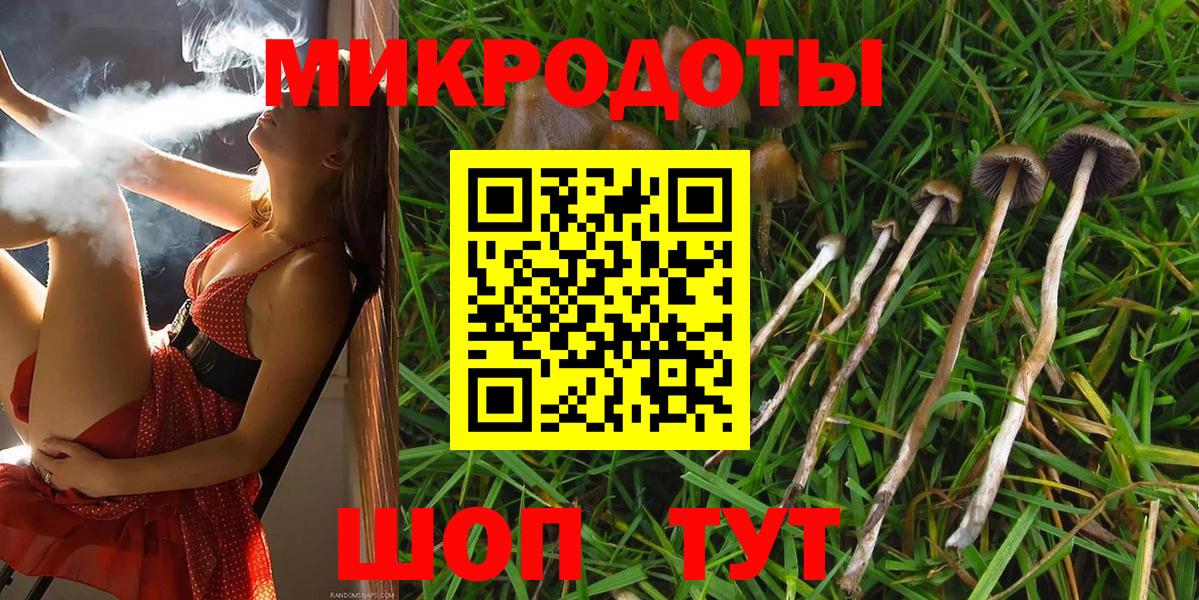 Псилоцибиновые грибы Magic Shrooms Майкоп