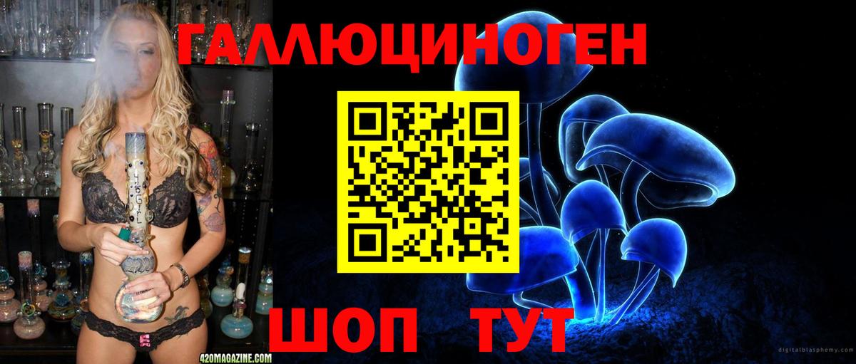 Майкоп  Галлюциногенные грибы прущие грибы  Вход с VPN 